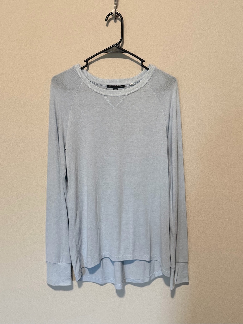 Brandy Melville Light Blue Long-Sleeve Crew Top